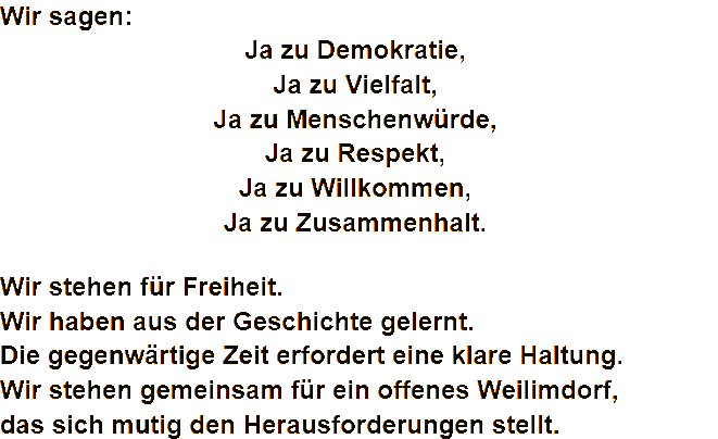 JA für Demokratie – grafischer Schriftzug